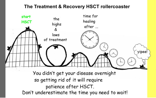 rollercoaster-hsct
